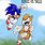 Funny Sonic vs Tails
