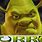 Furros Shrek