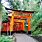 Fushimi Inari Taisha Shinto Shrine