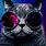 Galaxy Glasses Cat