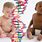 Genetic Designer Babies
