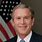 George Bush Portrait