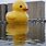 Giant Rubber Duckie