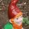Ginger Gnome