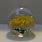 Glass Paperweight 1984