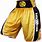 Gold Boxing Shorts