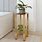 Gold Indoor Plant Stand