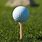 Golf Tee Images