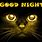Good Night Black Cat
