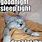 Good Night Kitty Meme