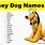 Goofy Dog Names
