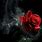 Gothic Red Rose