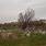 Grandview Cemetery East McKeesport PA