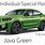 Green BMW X4 Color