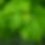 Green Blur Background HD