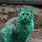 Green Cat Bulgaria