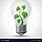 Green Energy Light Bulb