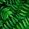Green Leaf Wallpaper 4K
