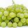 Green Muscat Grapes