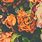 Green and Orange Floral Wallpaper