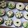 Green and White Cupcakes