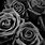 Grey Rose Wallpaper
