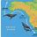 Grey Whale Migration Map