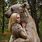Grizzly Bear and Woman