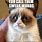 Grumpy Cat Memes with Swear Words