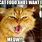 Grumpy Cat Meow Meme