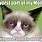 Grumpy Cat Monday Meme