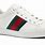 Gucci Sneakers PNG