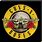Guns N' Roses Album Art