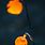 Halloween HD Wallpaper iPhone