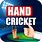 Hand Cricket Game