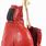 Hanging Red Boxing Gloves
