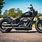Harley-Davidson Cruiser Motorcycle