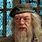 Harry Potter Old Wizard