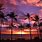 Hawaii Sunset with Palm Trees