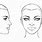 Head Drawing Guide