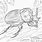 Hercules Beetle Coloring Page