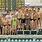 High School Competitive Swimming