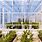 High-Tech Greenhouse