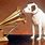 His Master's Voice Dog