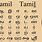 History of Tamil Language