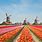 Holland Country