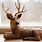 Home Interior Buck