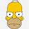 Homer Simpson Front Face