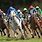Horse Race Images. Free