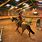 Horse Riding Games Online
